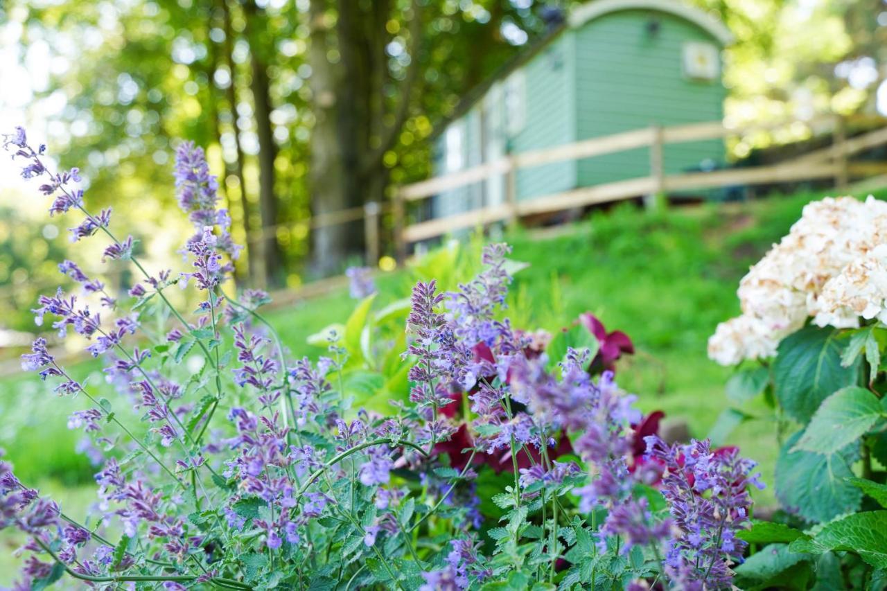 Lavender Retreat With Private Hot Tub Guest House Upper Hulme Bagian luar foto